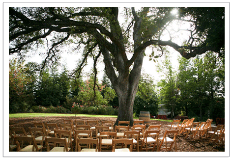 Outdoor weddings Ceremony decor